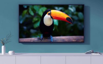 Xiaomi представила недорогой 4K‑телевизор Mi TV 4X 2020 Edition