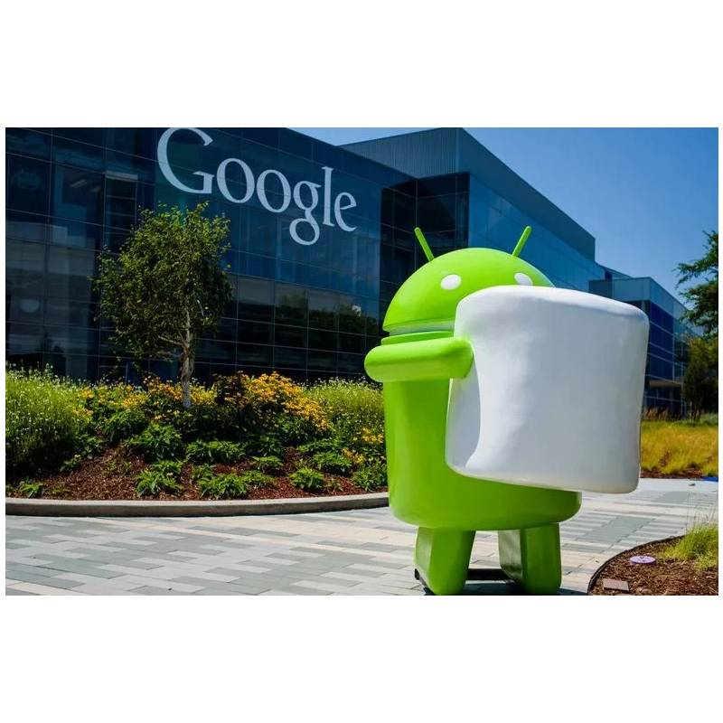Google yeni əməliyyat sistemini təqdim etdi