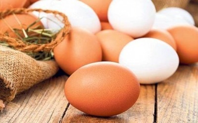 Ученые рассказали о пользе куриных яиц