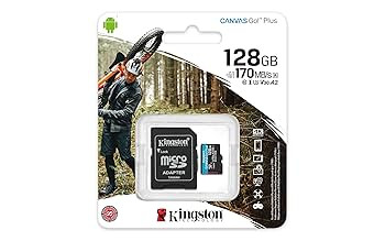 Kingston Canvas Go! Plus microSD (128GB) Black