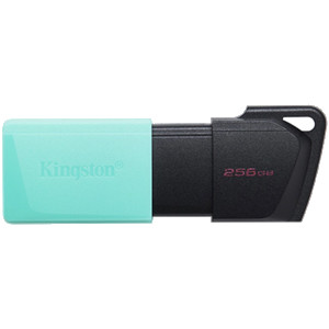 Kingston DataTraveler Exodia 256GB M DTXM/256GB-N Blue