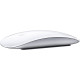 APPLE Magic Mouse MK2E3ZM/A Ağ