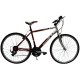 Velosiped Kawasaki Dexter C2