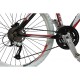 Velosiped Kawasaki Ravel 2.0 A3