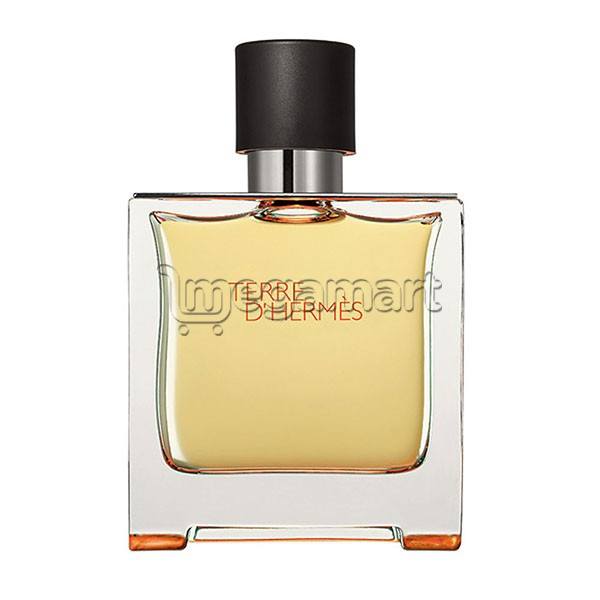 Hermes Terre EDP 75 ml