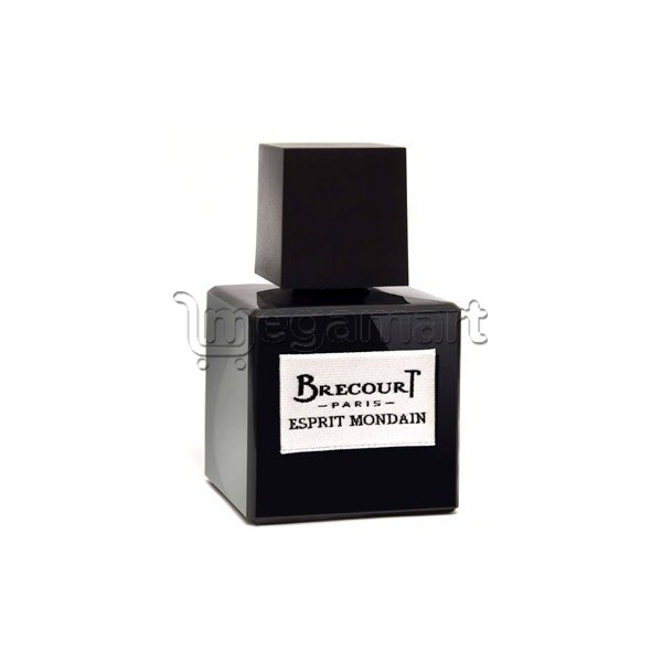 Brecourt Esprit Mondain EDP 100 ml