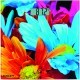Tərəzi Scarlett SC-BS33E001 flower