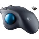 Kompüter sıçanı Logitech M570