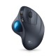 Kompüter sıçanı Logitech M570