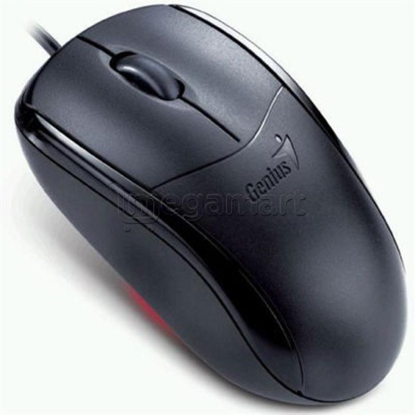 Kompüter siçanı Genius (31010104101)