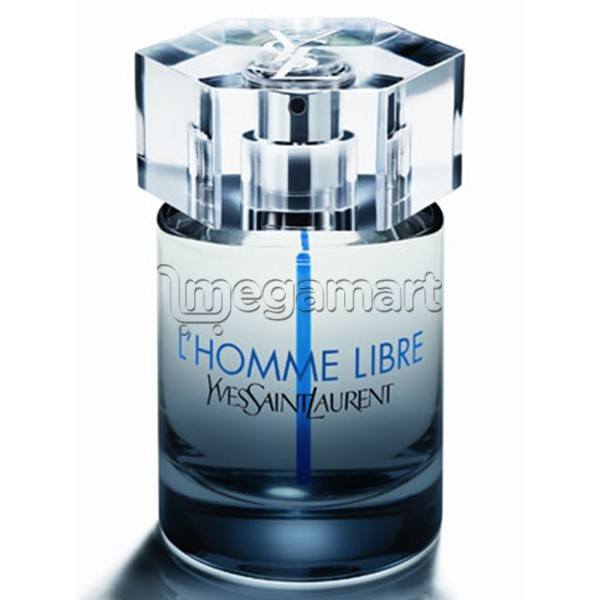 Мужские духи YSL L'homme libre EDT 100 мл