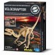 Velokiraptor 4M Kidz Labs / Velociraptor Skeleton 