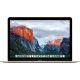 Apple MacBook 12" Space Gray (MJY32RS/A)