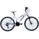 Велосипед Kawasaki Esta 21V