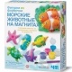 Игрушка 4M "Mould&Paint Sealife" 03511