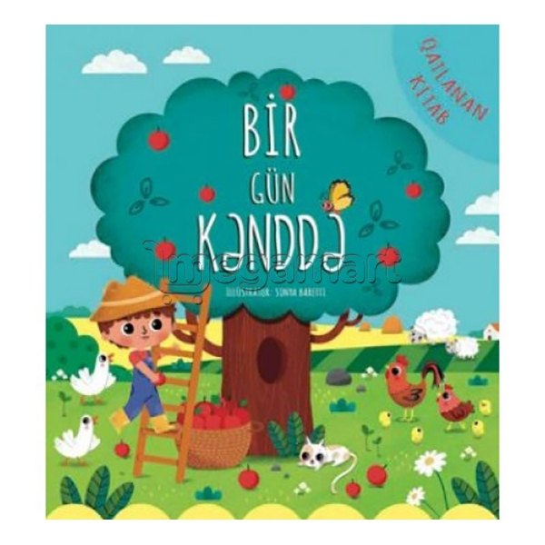 Kitab "Bir gün kənddə"