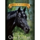 Kitab "Qara Köhlən"
