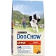 Quru yem Dog Chow Active