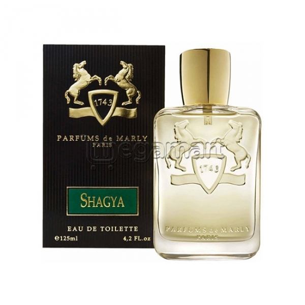 Kişilər üçün ətir Parfums De Marly Shagya EDP 125 ml
