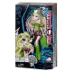 Кукла Mattel Monster High Brand-Boo Student Batsy Claro Doll