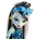 Кукла Mattel Monster High Welcome To Monster High Frankie Stein Doll