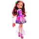 Kukla Mattel Ever After High Cedar Wood Doll