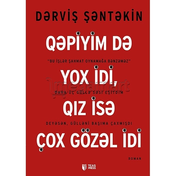 Книга "Qəpiyim də yox idi, qız isə çox gözəl idi" 