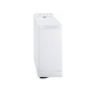 Paltaryuyan maşın Hotpoint Ariston ARTL 104 (EU)