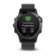 Smart saat Garmin Fenix 5 (010-01688-00)