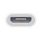 Adapter Apple Lightning to Micro USB (MD820ZM/A)