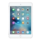 Чехол для планшета Apple iPad mini 4 Silicone Case (MKLL2ZM/A)