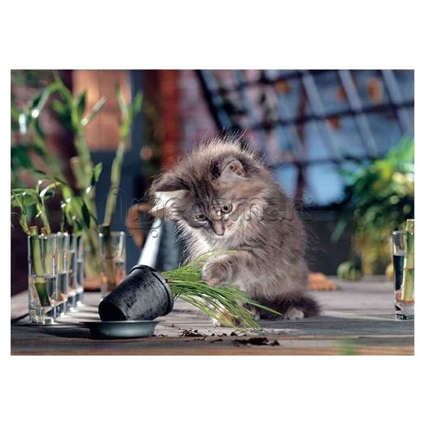 Pazl KS Games (8697418014822)