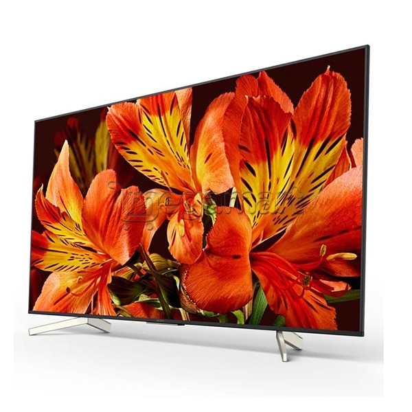 Телевизор Sony KD-85XF8596 