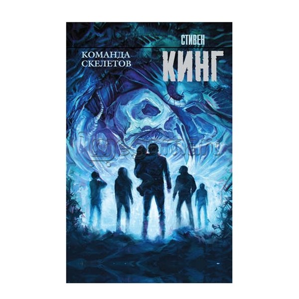 Книга "Команда скелетов"