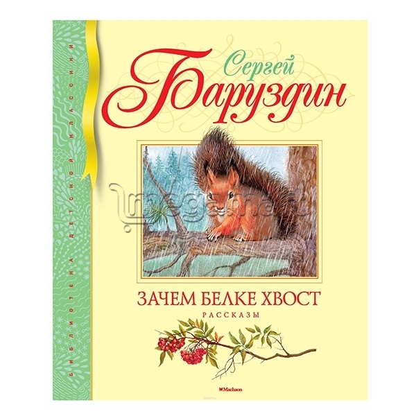 Книга "Зачем белке хвост"