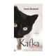 Книга "Kafka sahildə"