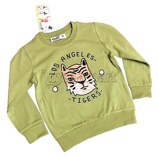 Кофта  Baby Kids BK-003