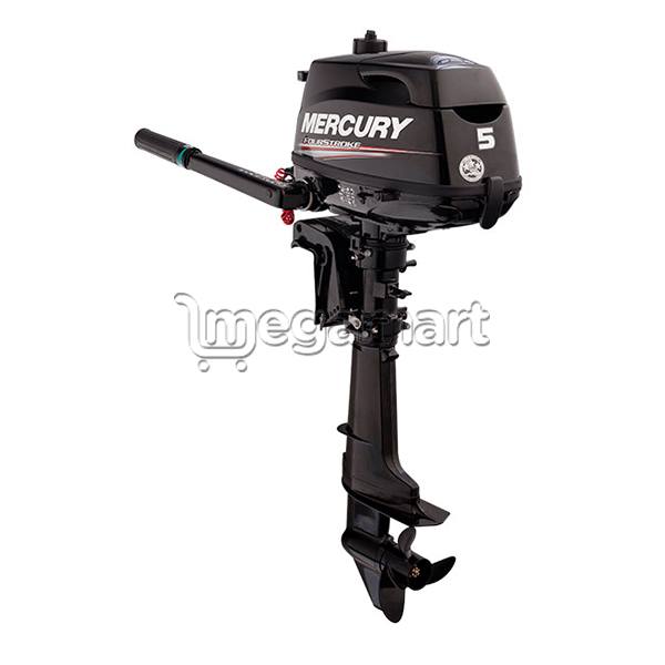 Motor Mercury F5 M