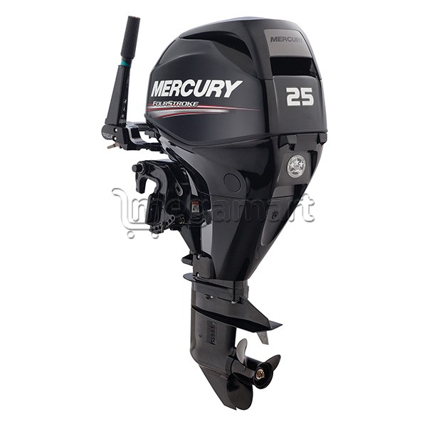 Motor Mercury F25 M EFI