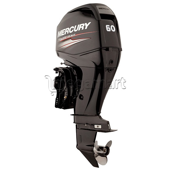Motor Mercury F60 ELPT EFI CT