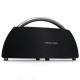 Səsgücləndirici JBL Harman Kardon GO Play Mini Black (HKGOPLAYMINIBLKEU-N)
