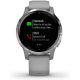 Смарт часы Garmin Vivoactive 4S Powder Gray/Silver