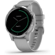 Смарт часы Garmin Vivoactive 4S Powder Gray/Silver